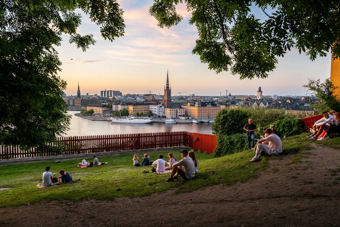 How Directory Design Influences Companion Searches Across Estonia